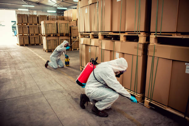 Best Pest Control Cost  in Empire, CA