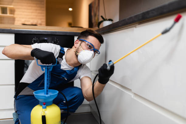 Best Cockroach Control Services  in Empire, CA
