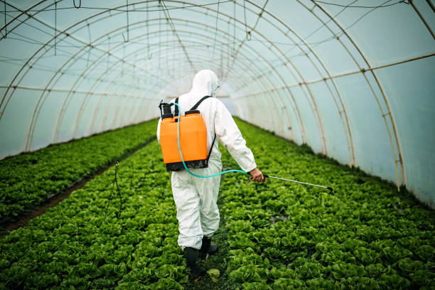 Best Pest Prevention Services  in Empire, CA