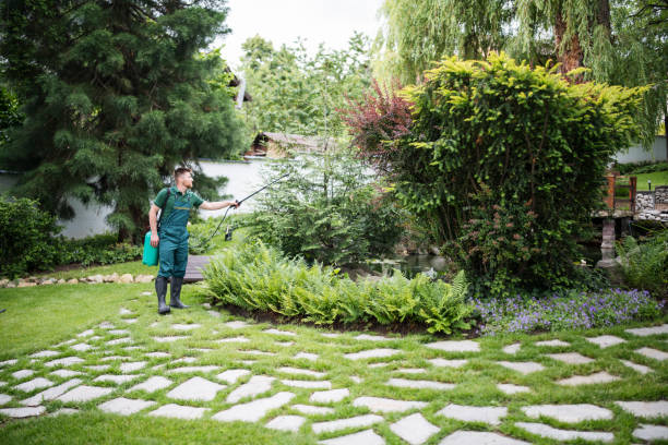 Best Wasp Removal Services  in Empire, CA