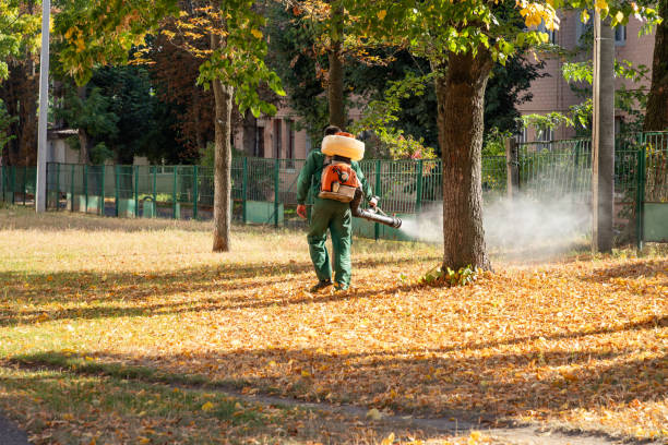 Best Pest Inspection Near Me  in Empire, CA